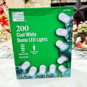 Home Accents 200 Count Cool White Dome LED Lights 58 ft Christmas Wedding Lights